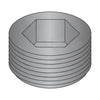 1/4 Dry Seal Socket Pipe Plug Plain-Bolt Demon