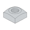 1/4-20 Regular Square Nut Zinc-Bolt Demon