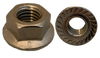 M6-1.00 DIN6923 Metric Hex Flange Nut Serrated A2 Stainless Steel-Bolt Demon
