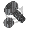 1/4-20 x 4 Six Lobe Pan Floor Board Screw Type F Fully Threaded Black Phosphate-Bolt Demon