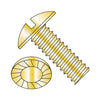 5/16-18 x 3/4 Slotted Truss Serrated Machine Screw Fully Threaded Zinc Yellow-Bolt Demon